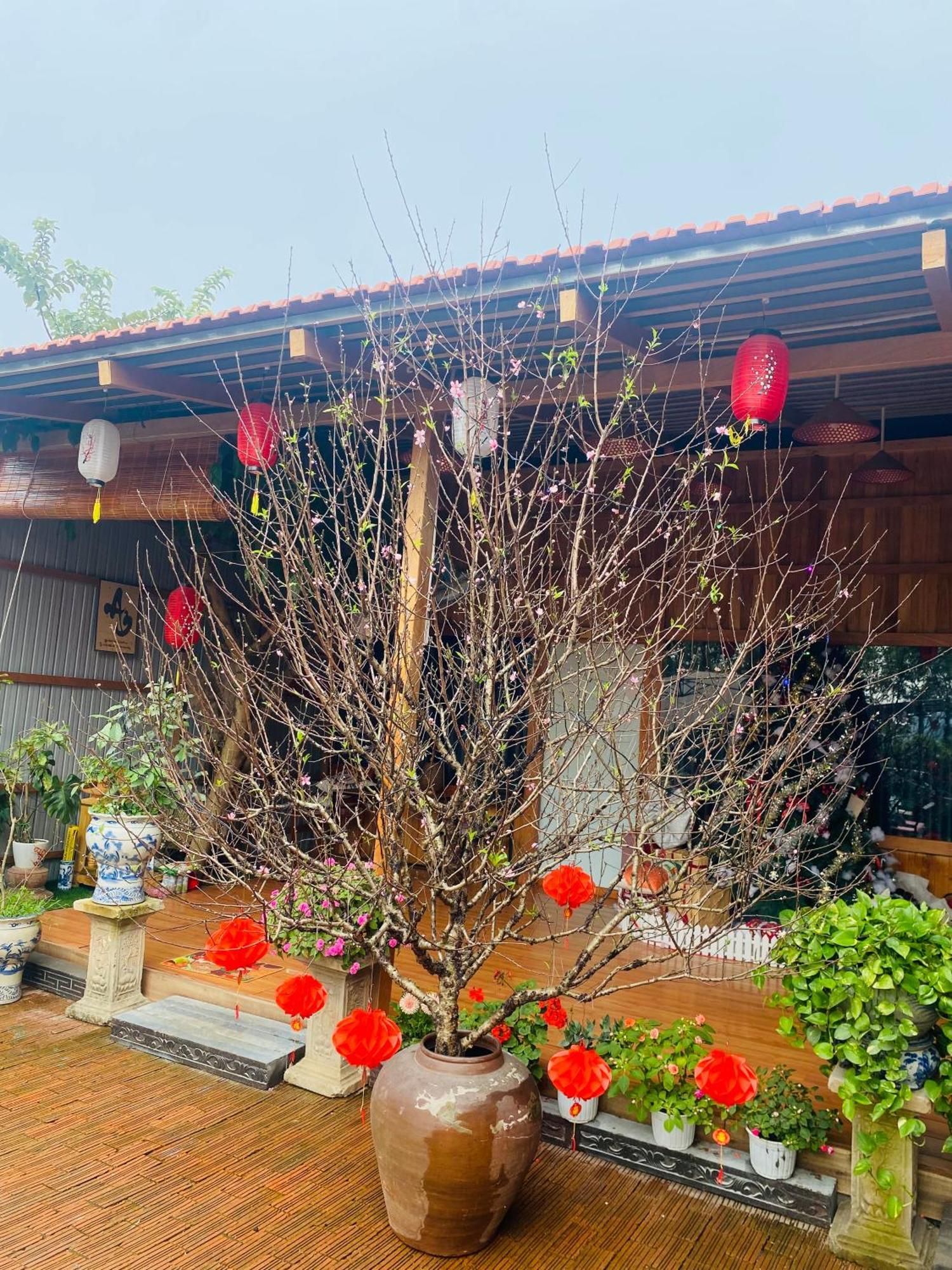 An Homestay Tam Coc Ninh Binh Exterior foto